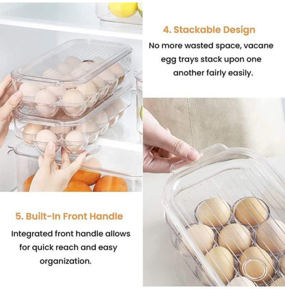 Egg Storage Box or Egg Trays